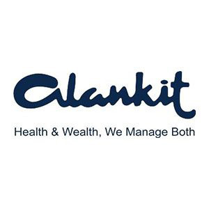 alankit assignments limited annual report